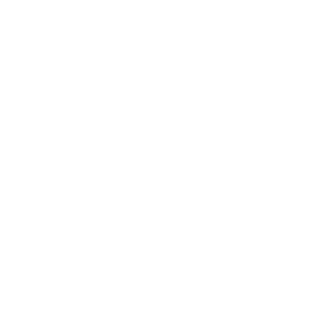 Robertson IT Solutions Logo